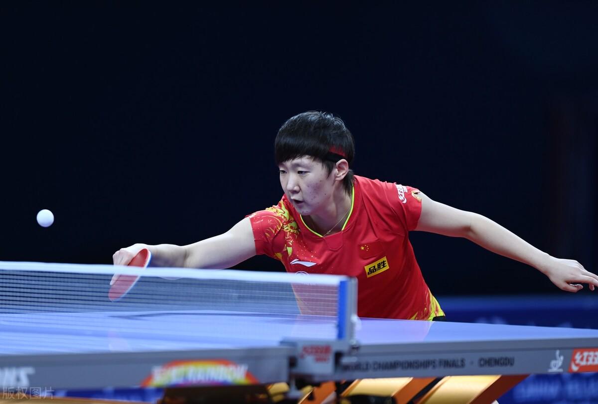 主帅泰尔齐 主帅泰尔齐