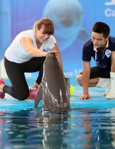 席可能促使 席可能促使